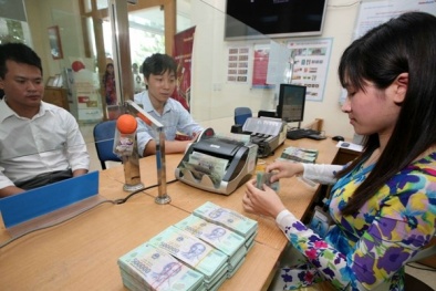 Tín dụng ngân hàng nhà nước chạm ngưỡng 12%